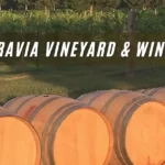 Moravia-Vineyard-_-Winery_Desktop_ET