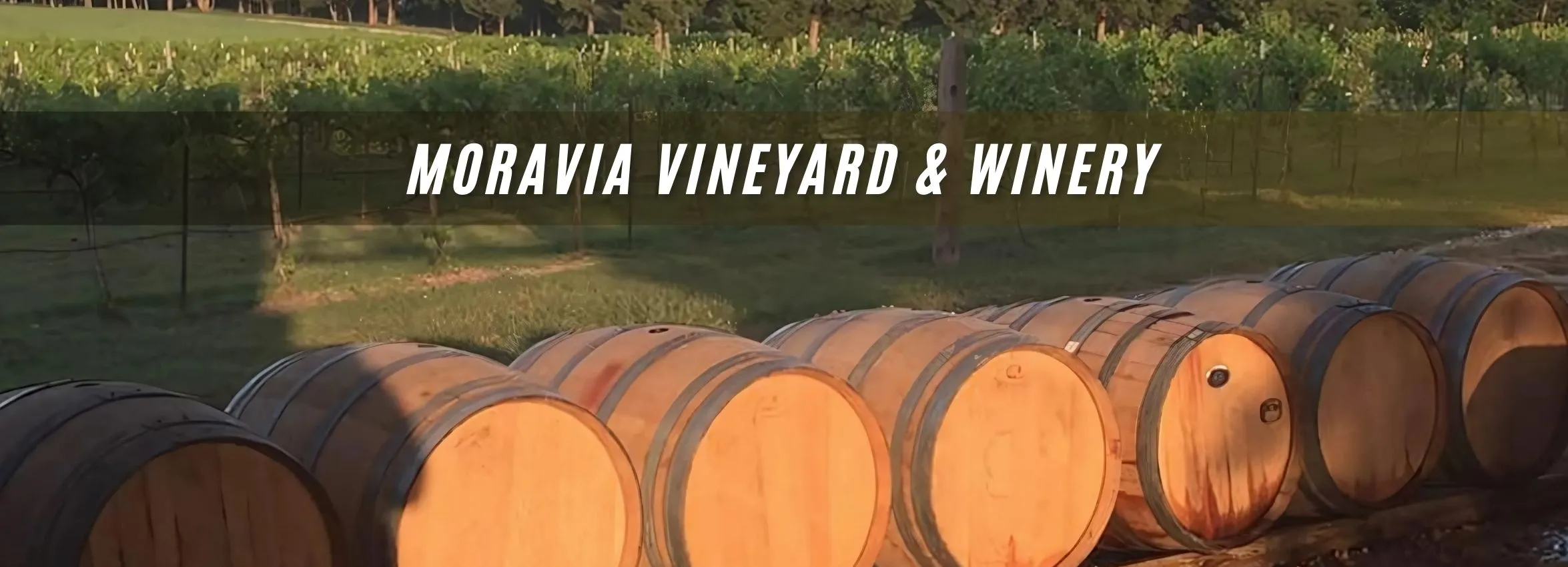 Moravia-Vineyard-_-Winery_Desktop_ET