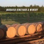 Moravia-Vineyard-_-Winery_Mobile_ET