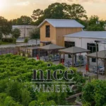 Nice-Winery_Desktop_ET
