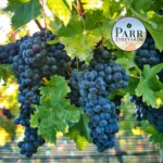 Parr-Vineyards_Mobile_ET