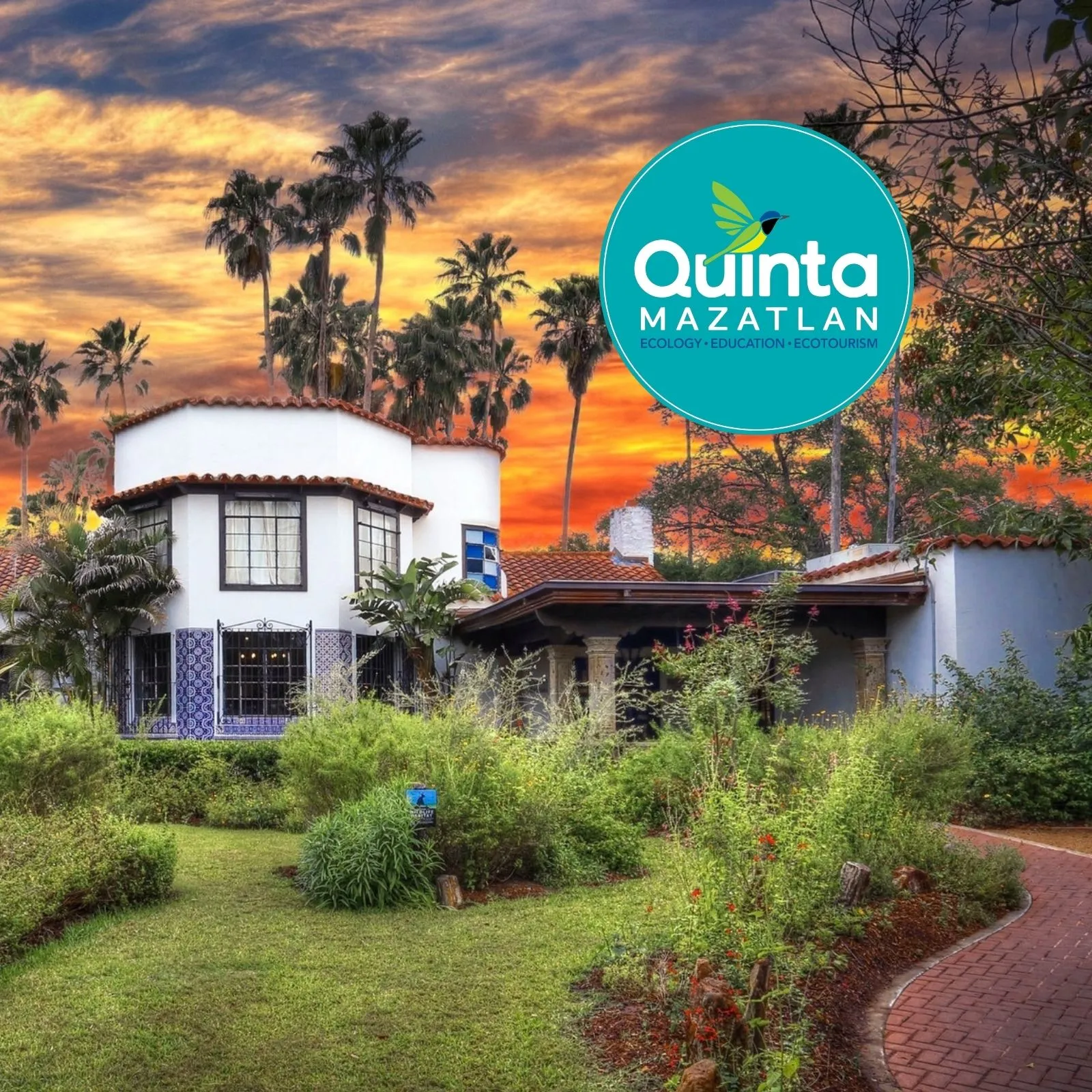 Quinta-Mazatlan-World-Birding-Center_Mobile_ET
