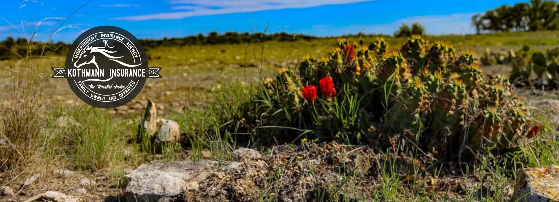 R-D-Kothmann-Insurance-Agency_Desktop_ET