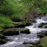 River-Ranch-County-Park_Desktop_ET