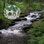 River-Ranch-County-Park_Mobile_ET
