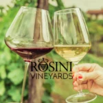 Rosini-Vineyards_Mobile_ET