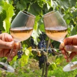 Savage-Ranch-Vineyard_Desktop_ET