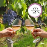 Savage-Ranch-Vineyard_Mobile_ET