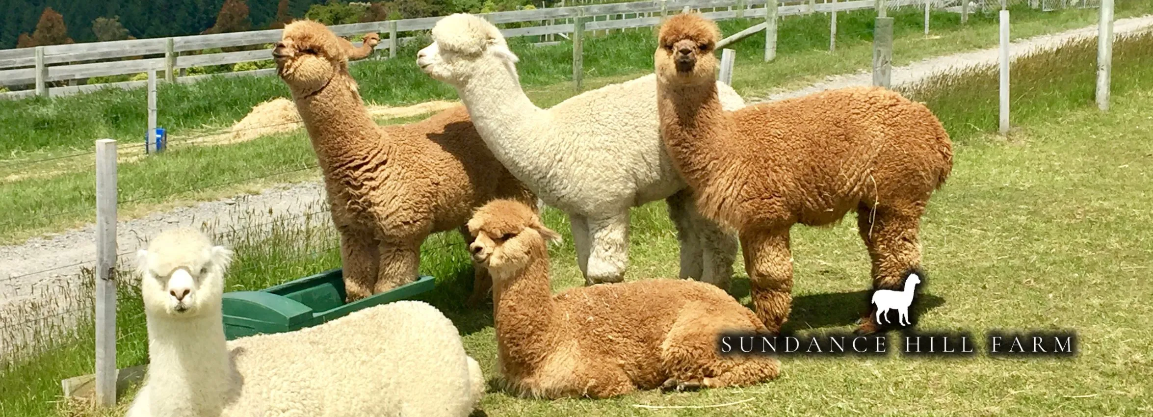 Sundance-Hill-Farm_Desktop_ET