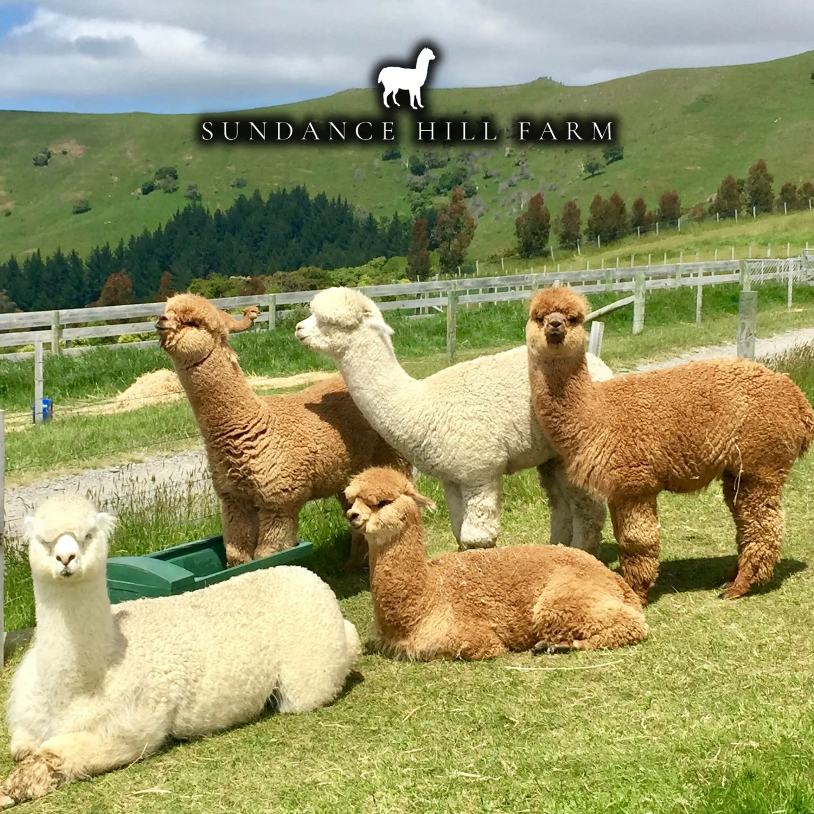 Sundance-Hill-Farm_Mobile_ET