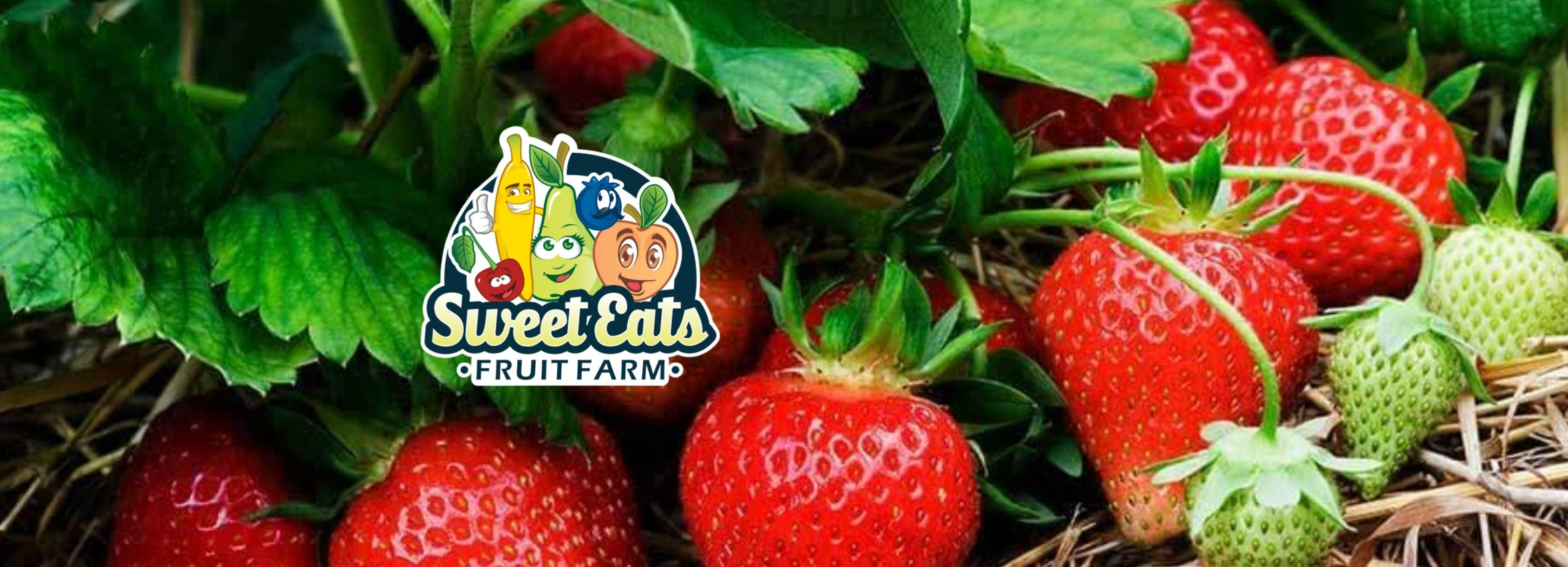 Sweet-Eats-Fruit-Farm_Desktop_ET