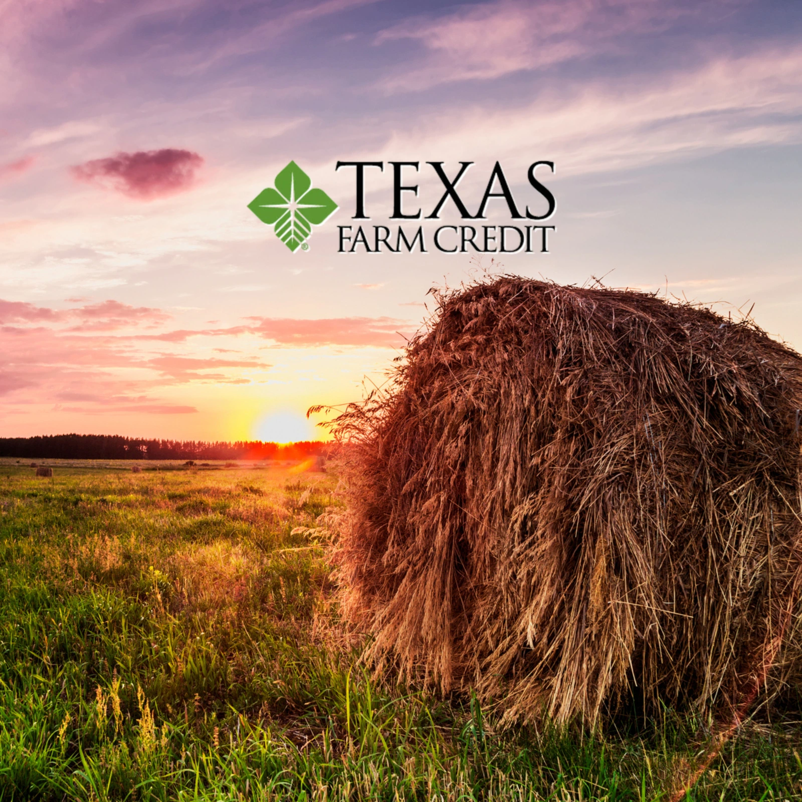 Texas-Farm-Credit_Mobile_ET