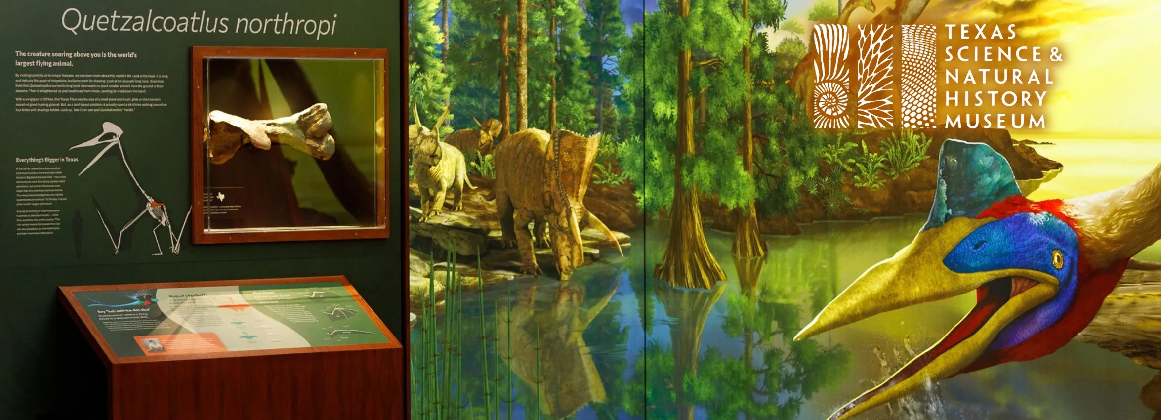 Texas-Science-and-Natural-History-Museum_Desktop_ET