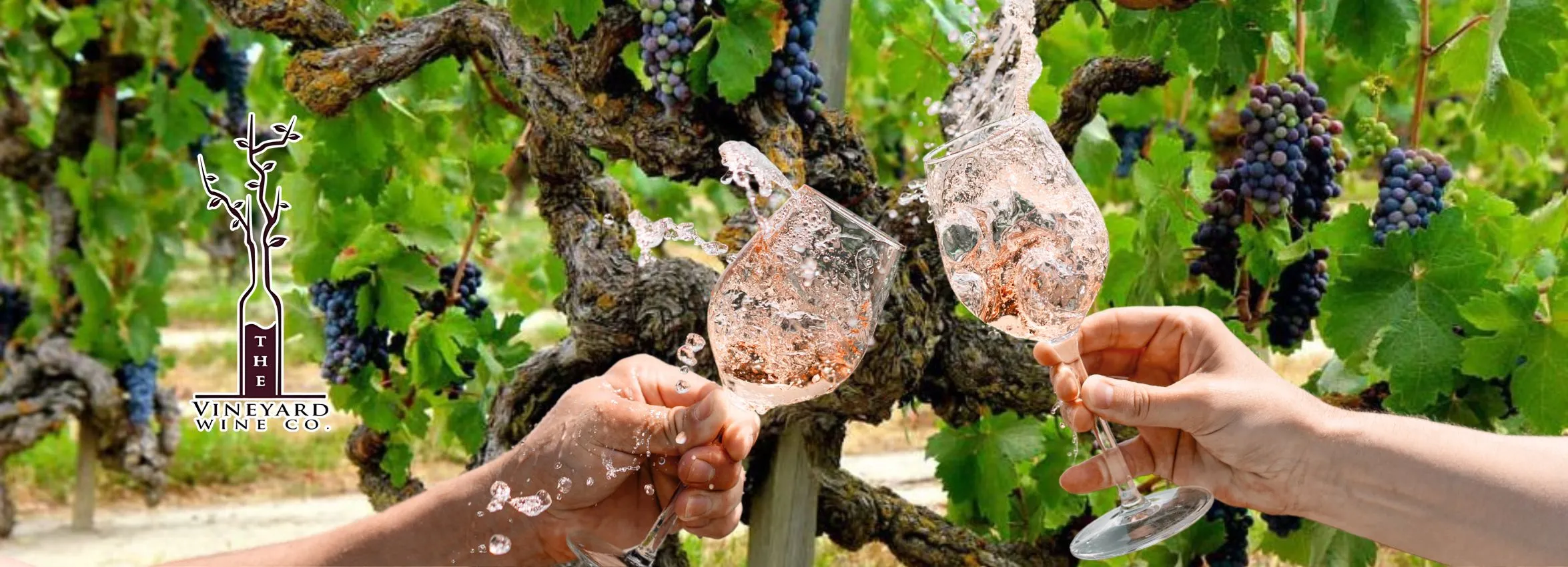 The-Vineyard-Wine-Company_Desktop_ET