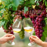 Vingo-Vineyards_Mobile_ET