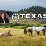 Wendy-Johnson-Texas-Landmark-Properties_Desktop_ET
