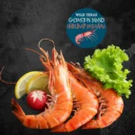 Wild-Texas-Galveston-Island-Shrimp-Festival_Mobile_ET