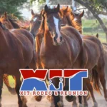 XIT-Rodeo-_-Reunion_Desktop_ET