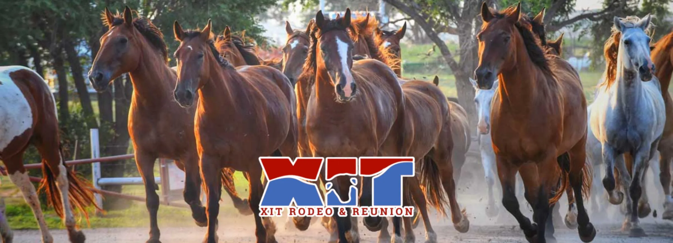XIT-Rodeo-_-Reunion_Desktop_ET