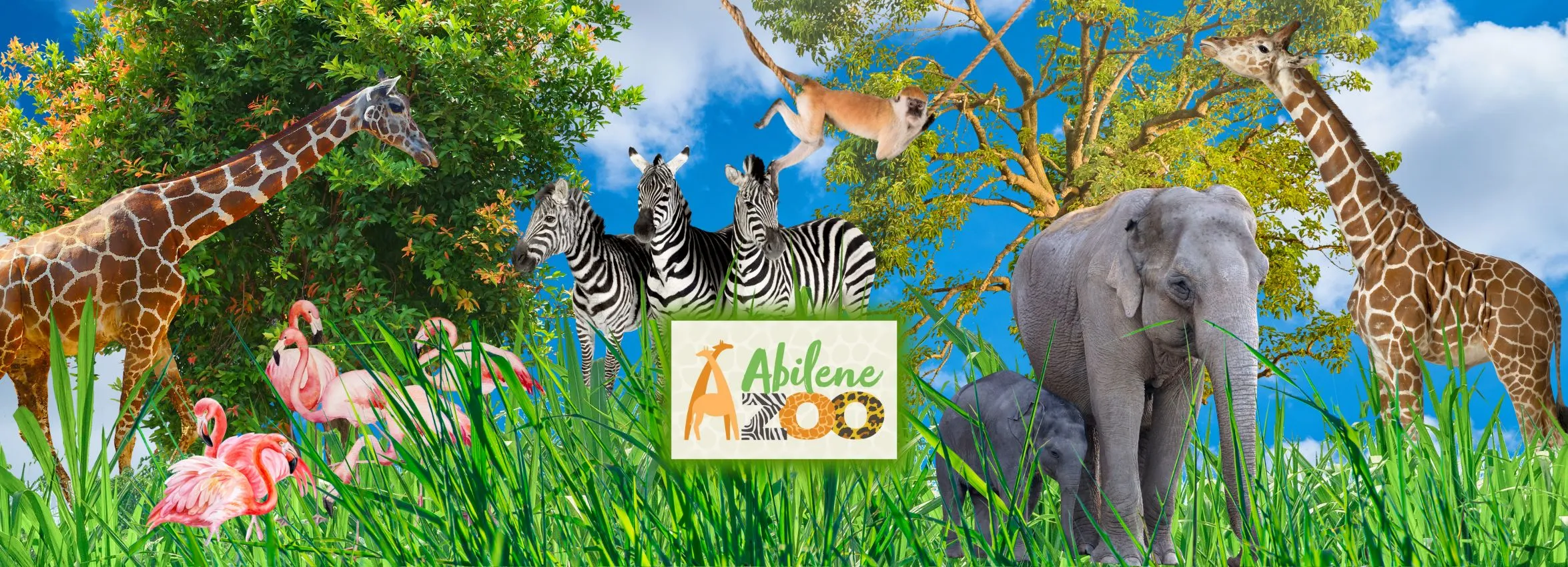 Abilene-Zoo_Desktop_ET