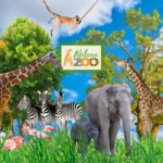 Abilene-Zoo_Mobile_ET