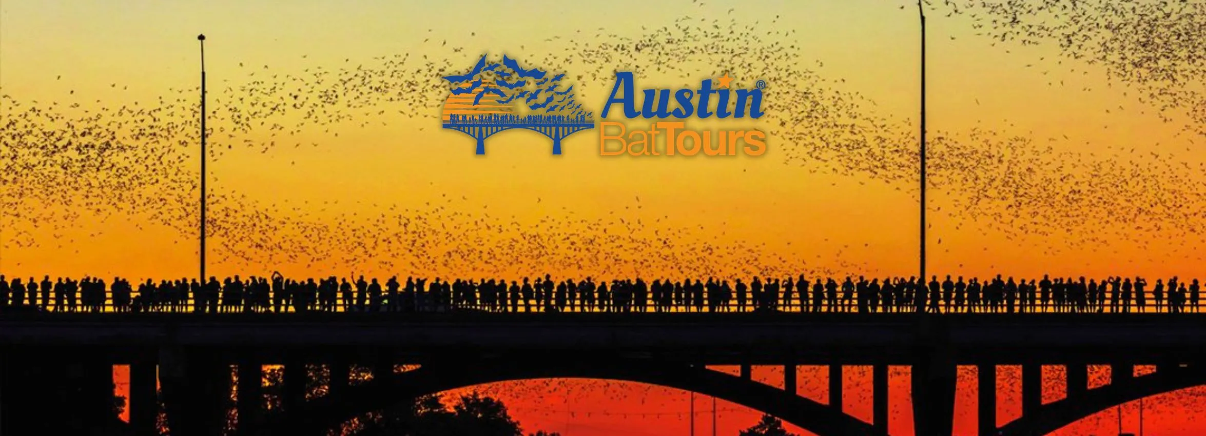 Austin-Bat-Tours