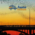 Austin-Bat-Tours_Mobile_ET