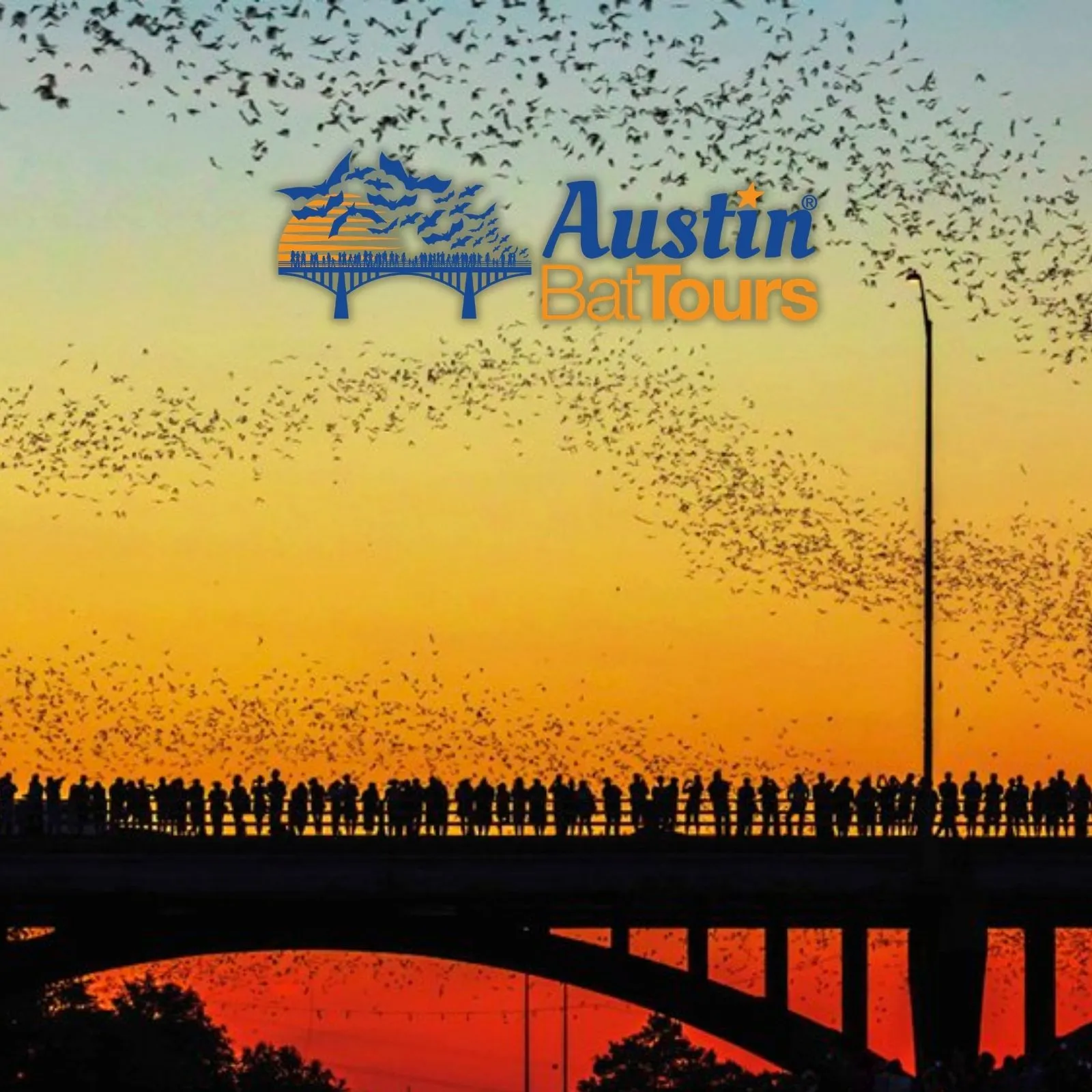 Austin-Bat-Tours_Mobile_ET