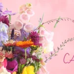 Catherines_Desktop_ET