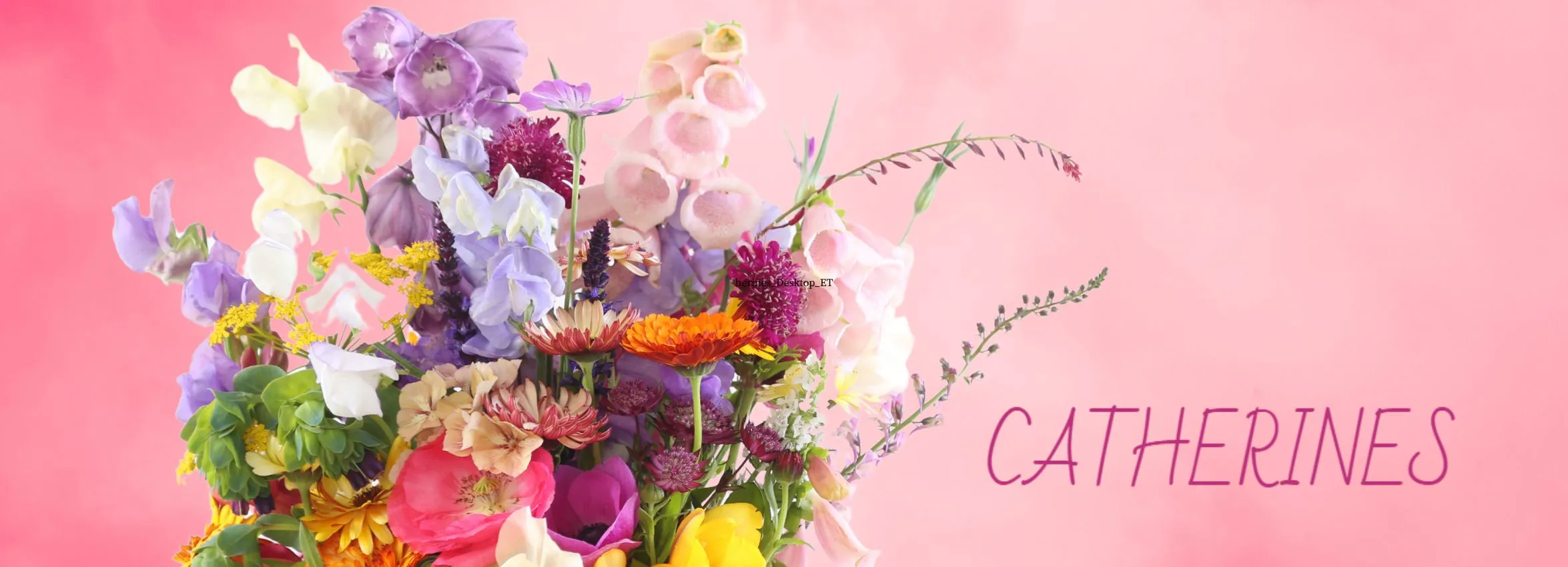 Catherines_Desktop_ET