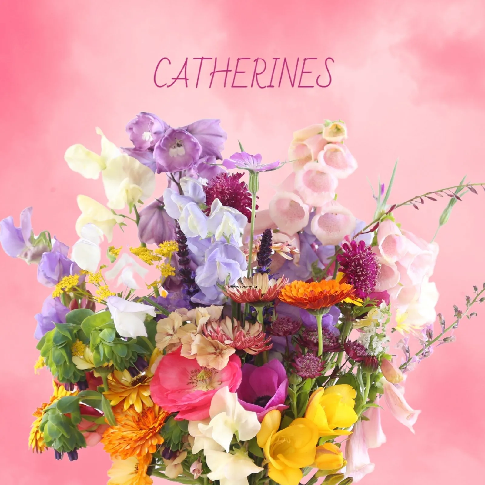 Catherines_Mobile_ET