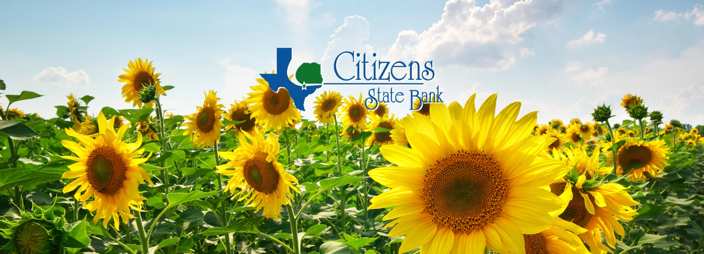 Citizens-State-Bank_Desktop_ET