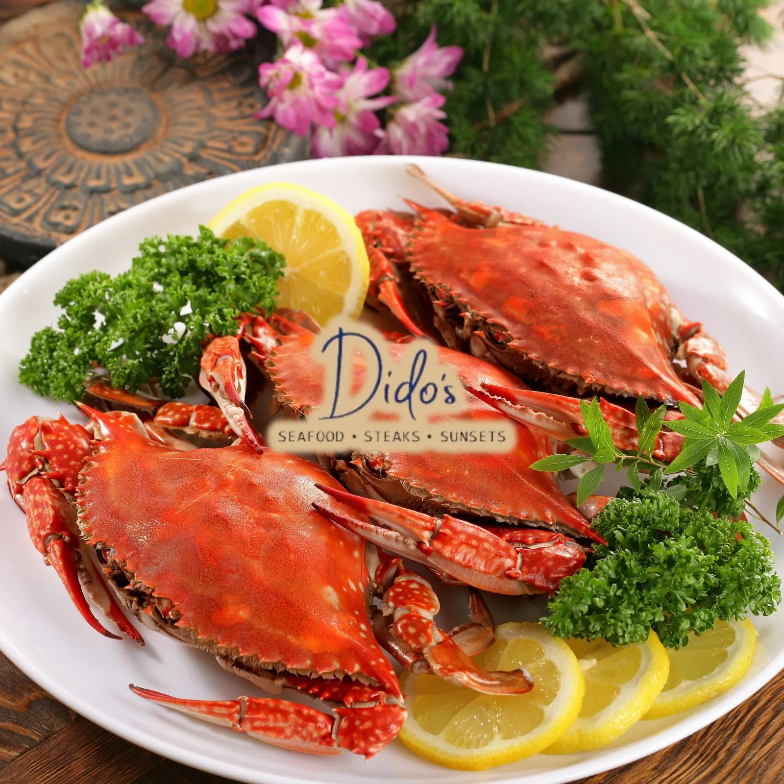 Dido_s-Seafood-and-Steak_Mobile_ET