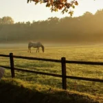 Drew-Calvin-Texas-Ranch-Brokers_Desktop_ET