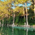 Hill-Country-Brokerage_Desktop_ET