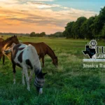 Jessica-Rumbaugh-Texas-Land-Home_Desktop_ET