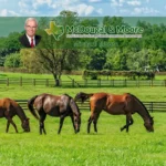 Michael-Moore-McDougal-and-Moore_Mobile_ET