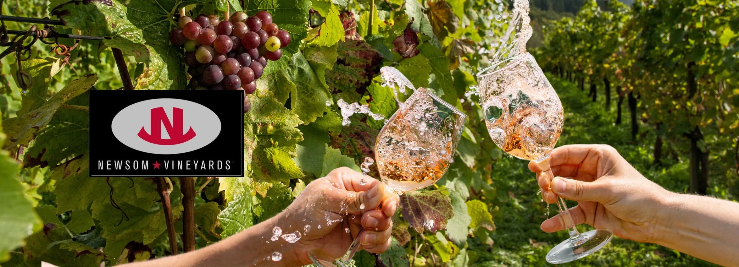 Newsome-Vineyards_Desktop_ET