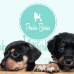 Poochie-Barkus_Desktop_ET