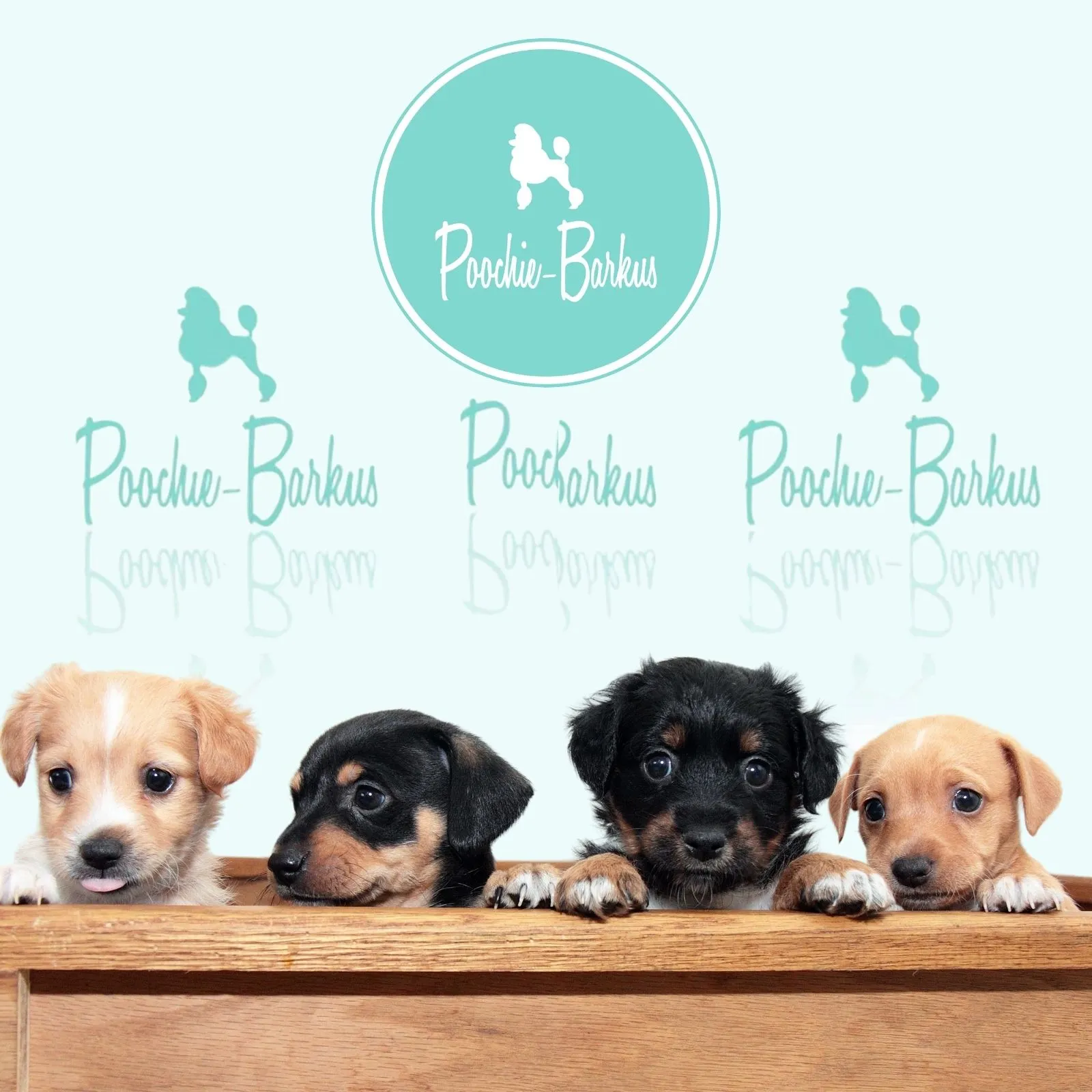 Poochie-Barkus_Mobile_ET