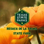 Resaca-de-la-Palma-State-Park_Desktop_ET