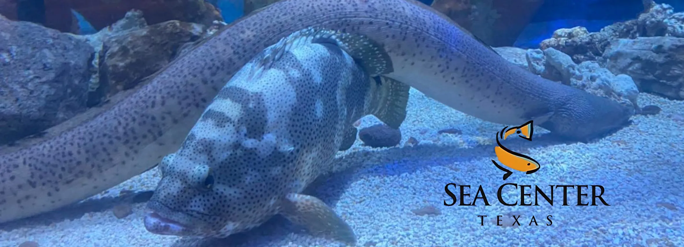 Sea-Center-Texas_Desktop_ET