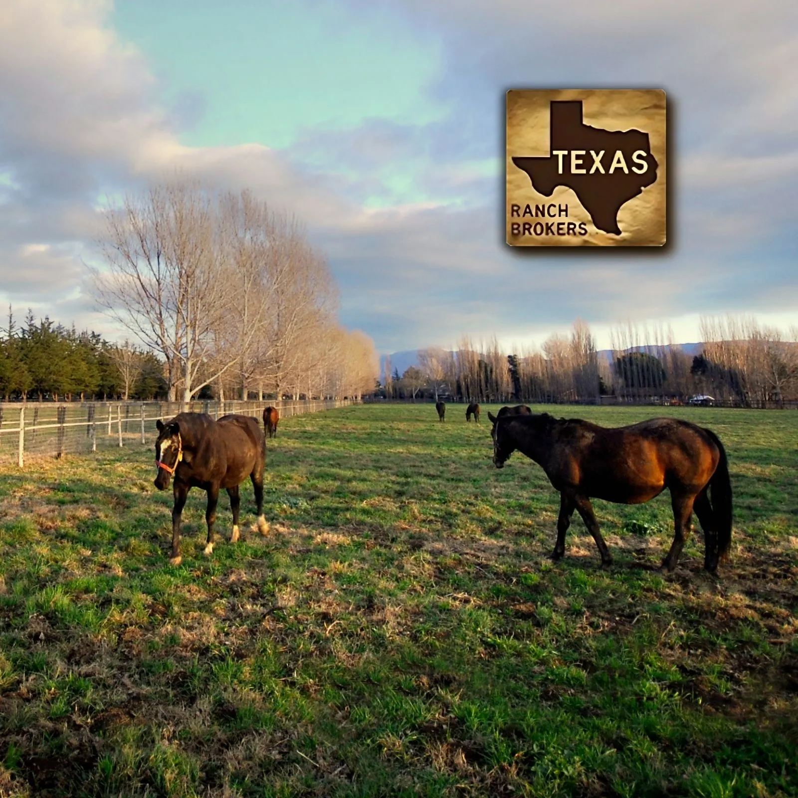 Texas-Ranch-Brokers_Mobile_ET