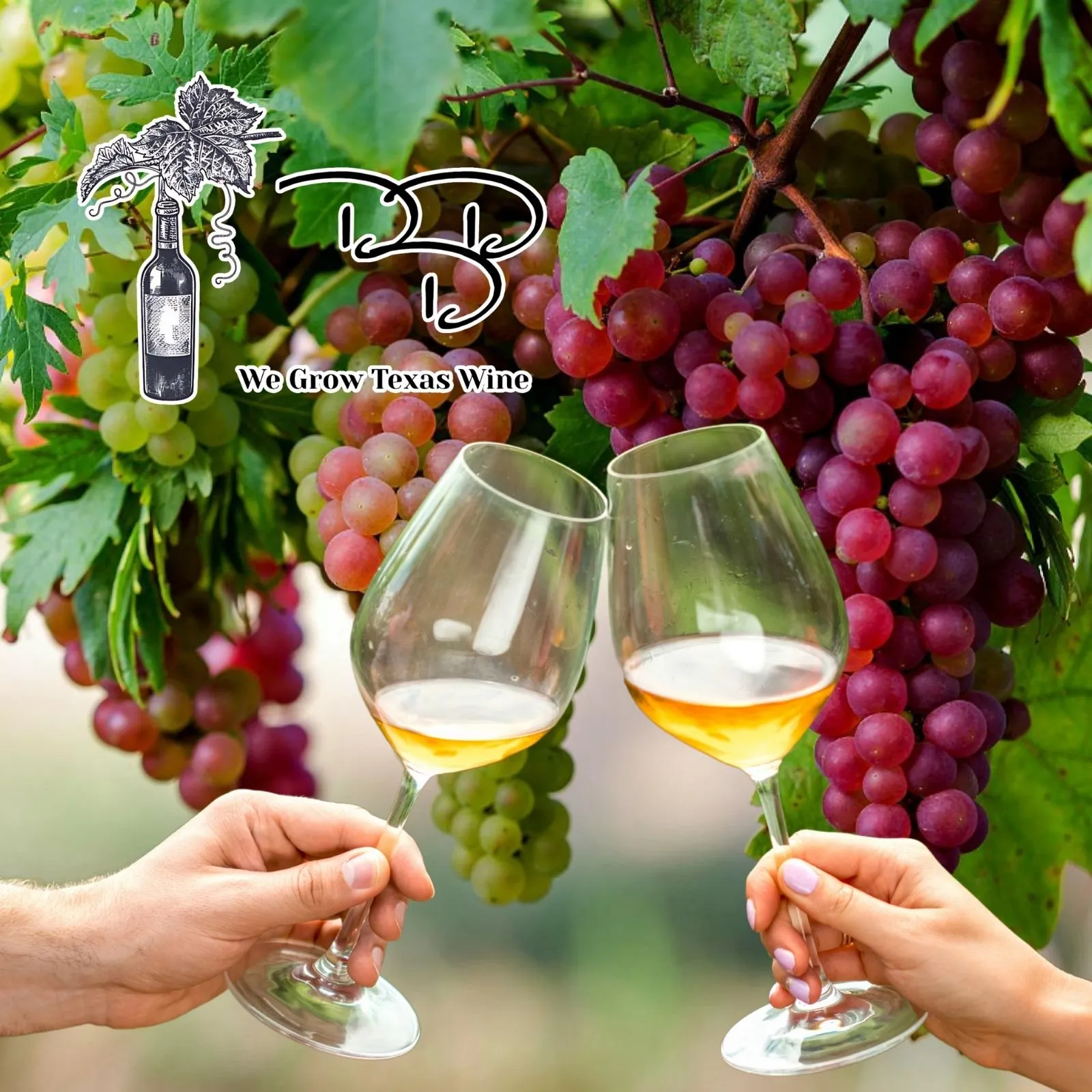 The-Triple-D-Winery-and-Event-Center_Mobile_ET