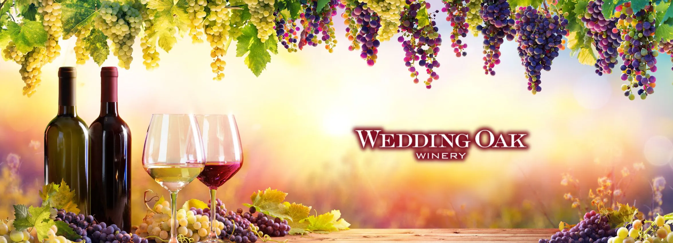Wedding-Oaks-Winery_Desktop_ET