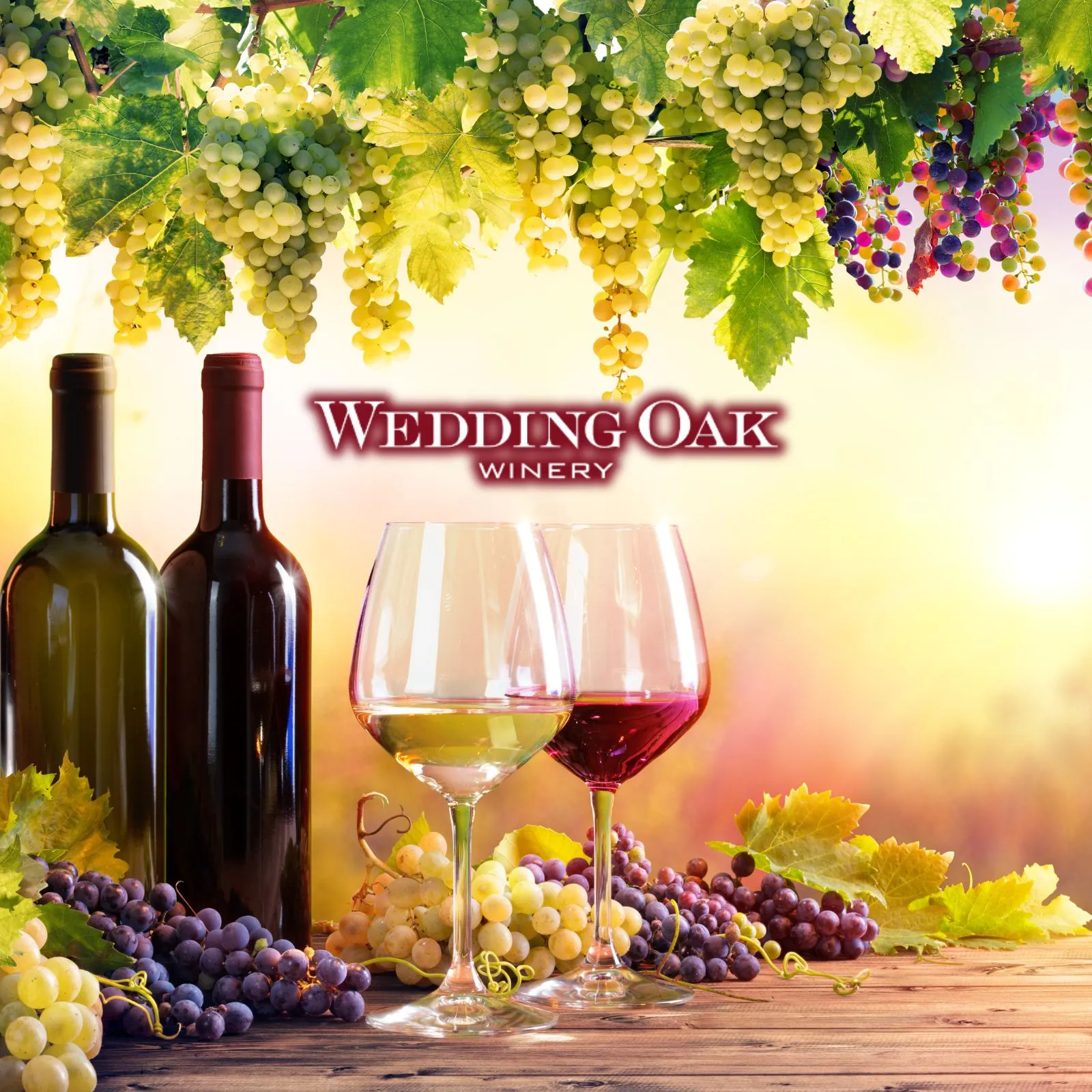 Wedding-Oaks-Winery_Mobile_ET