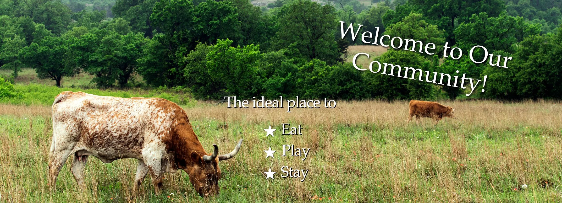 Welcome-Longhorn_Desktop_ET