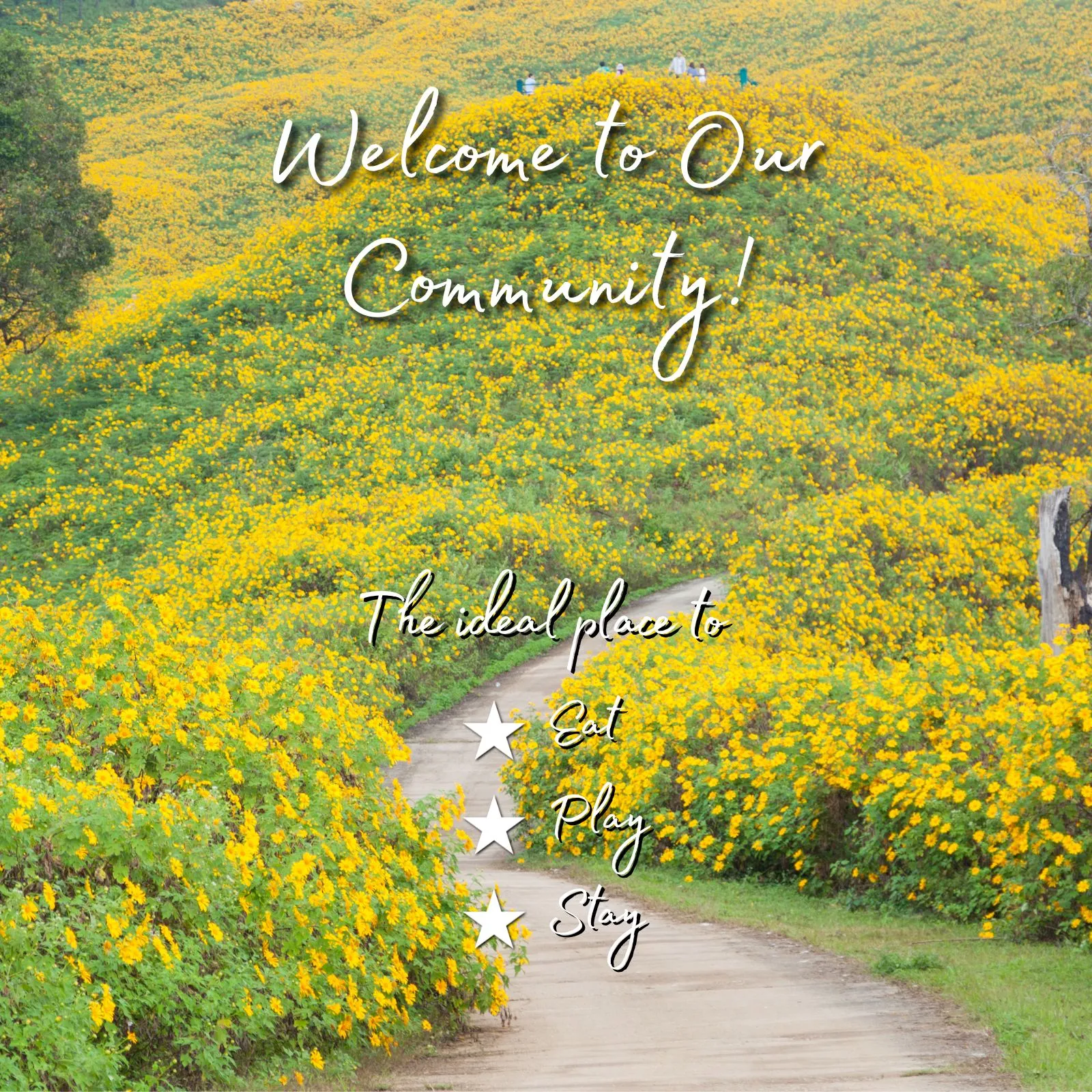 Welcome-YellowMobile_ET