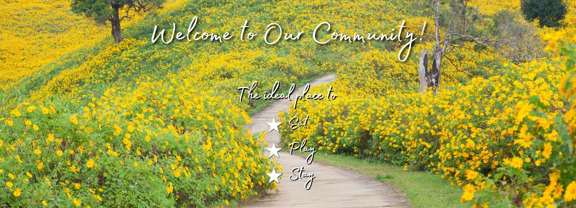 Welcome-Yellow_Desktop_ET