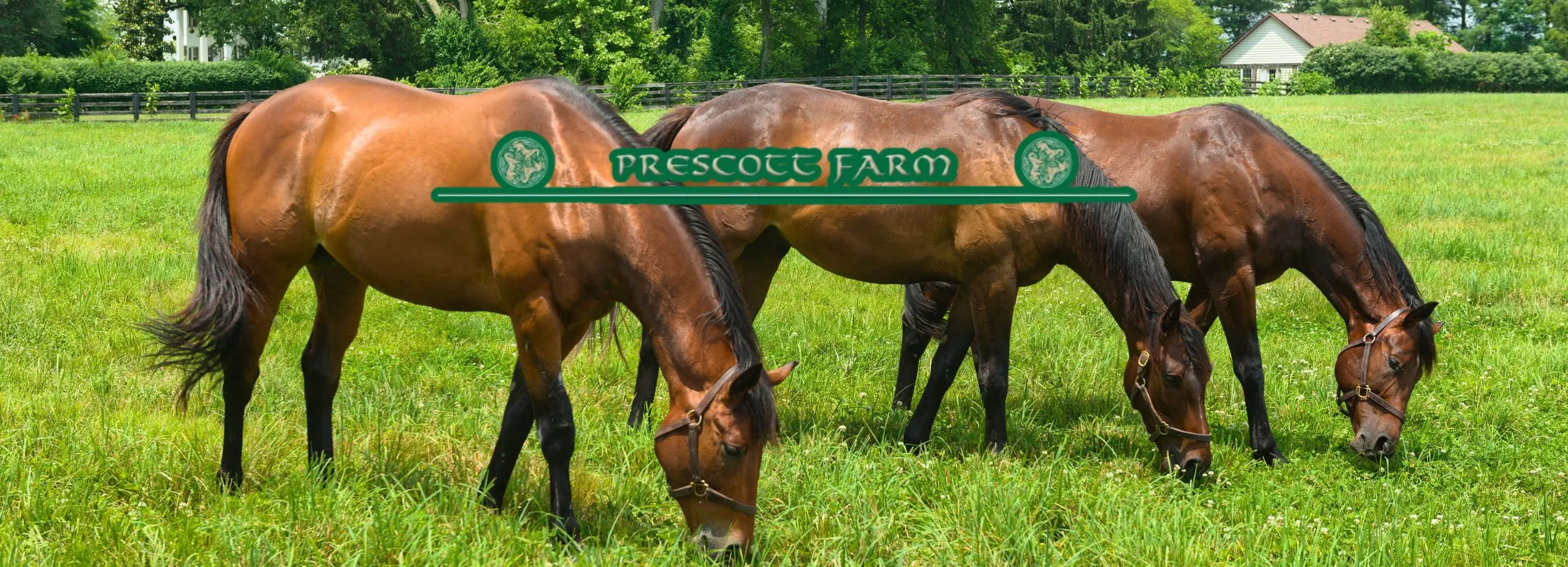 Prescott-Farms_Desktop_ET-